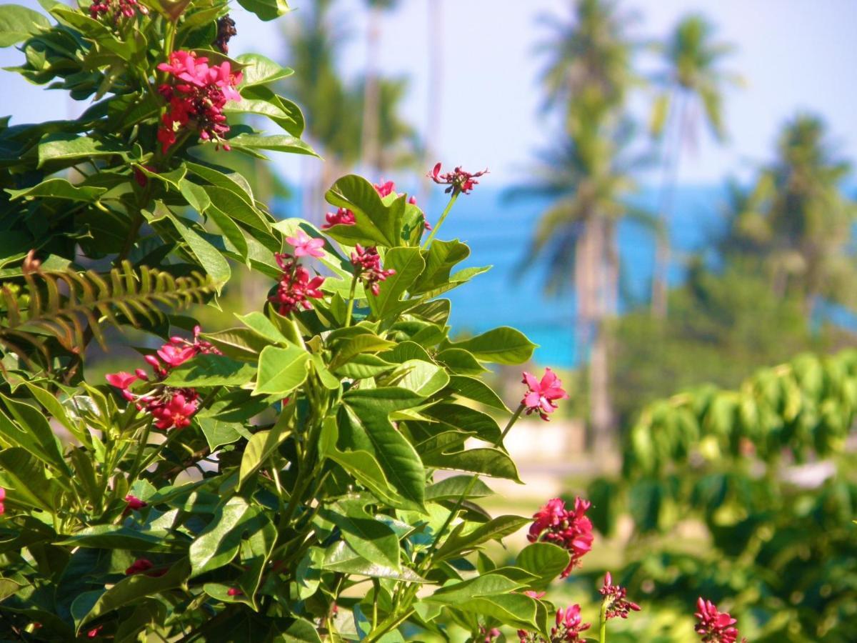 Готель Pink House Lamai Beach  Екстер'єр фото